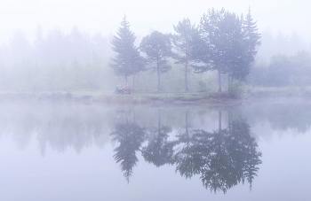 Morning Fisherman / ***