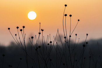Good morning / ***