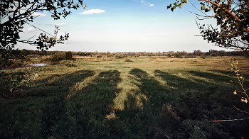 Without shadow. / ***