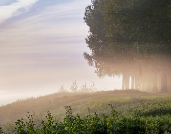 Fog dissipates / ***