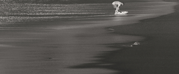 Surfing / ***