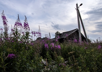 Once upon a time, there were... / ***