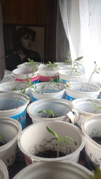 private photos / ***