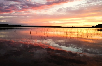 Late afternoon / ***