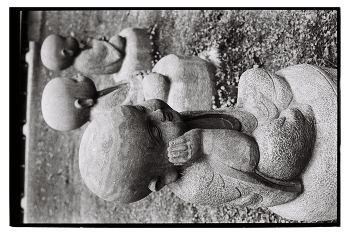 &nbsp; / Kodak 400tx 2
#sheglovaphoto