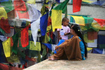 crazy colors in autumn / ***