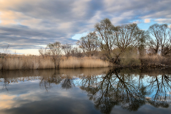 Silence / ***