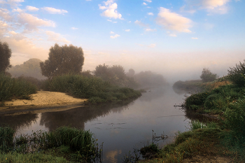 Summer morning. / ***