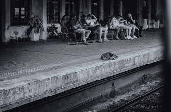 Wating / ***