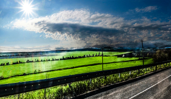 spring sun / ***