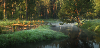 Clear morning / ***