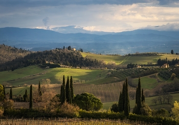 Evening Landscape / ***