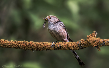 All the best - to children! / ***