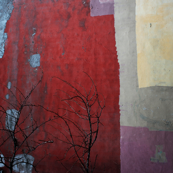 Morning city / ***