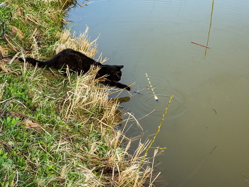 Fisherman / ***