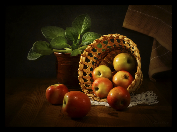 Apples / ***