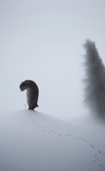 Midwinter / Stable diffusion