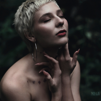 Willow / ***
