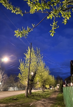 Landscape / ***
