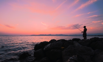 Evening / ***