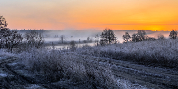 Frosty morning. / ***
