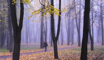 Walk / ***