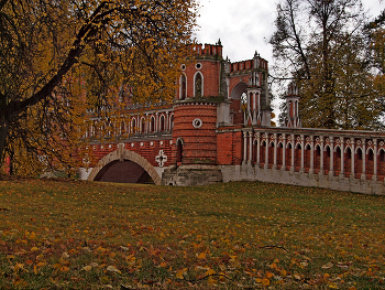 Figured Bridge / ***