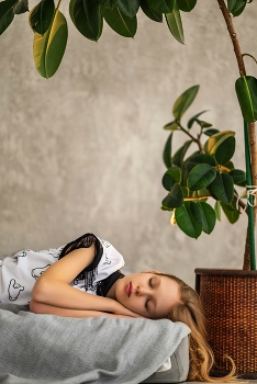 Sleeping Beauty / ***