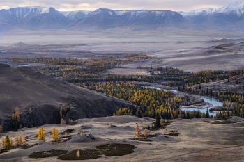Altai autumn / ***