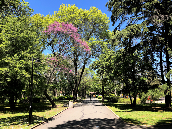 a park / ***