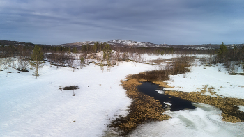 The month of May / ***