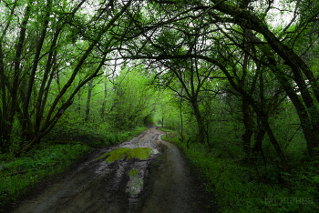 On the way to / ***