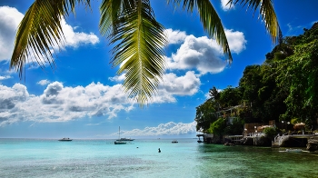 In the bay of ... / ***