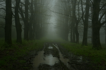 &nbsp; / ***
