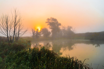 Morning fog. / ***