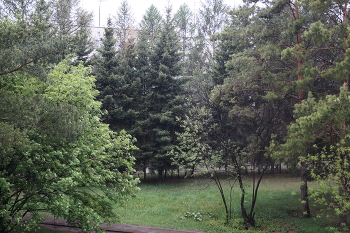 view from the window / ***