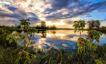 Evening on the lake / ***