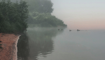In the morning mist. / ***