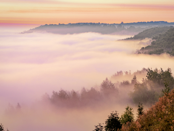 Fog dissipates / ***
