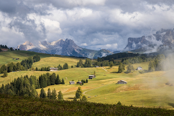Summer in the mountains / ***