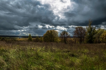 Before the storm / ***