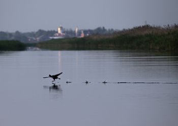 Not gonna get us / ***