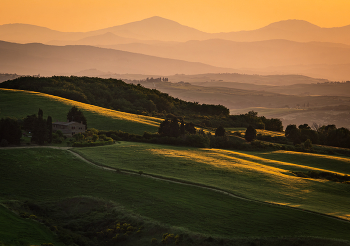 Evening light / ***