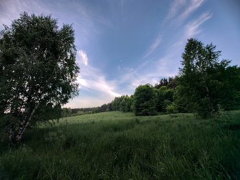 Evening / ***