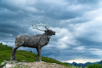 Altai Mountains / ***