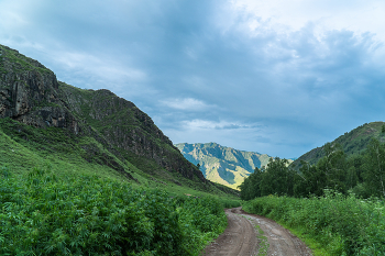 Altai Mountains / ***