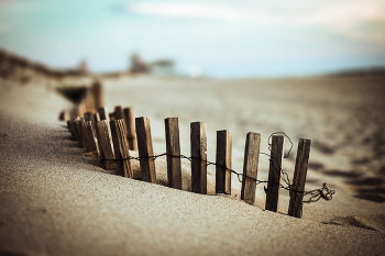 beach / ***