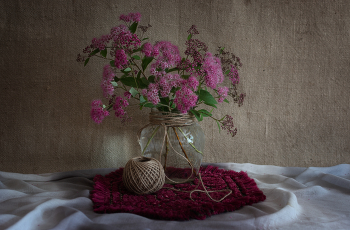 &nbsp; / 16-06-2025.