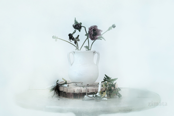 White still life / ***