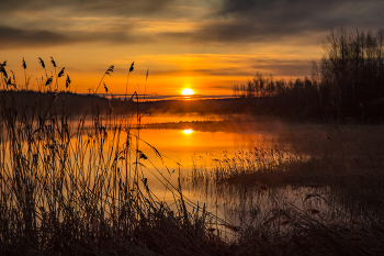Alarm Dawn / ***